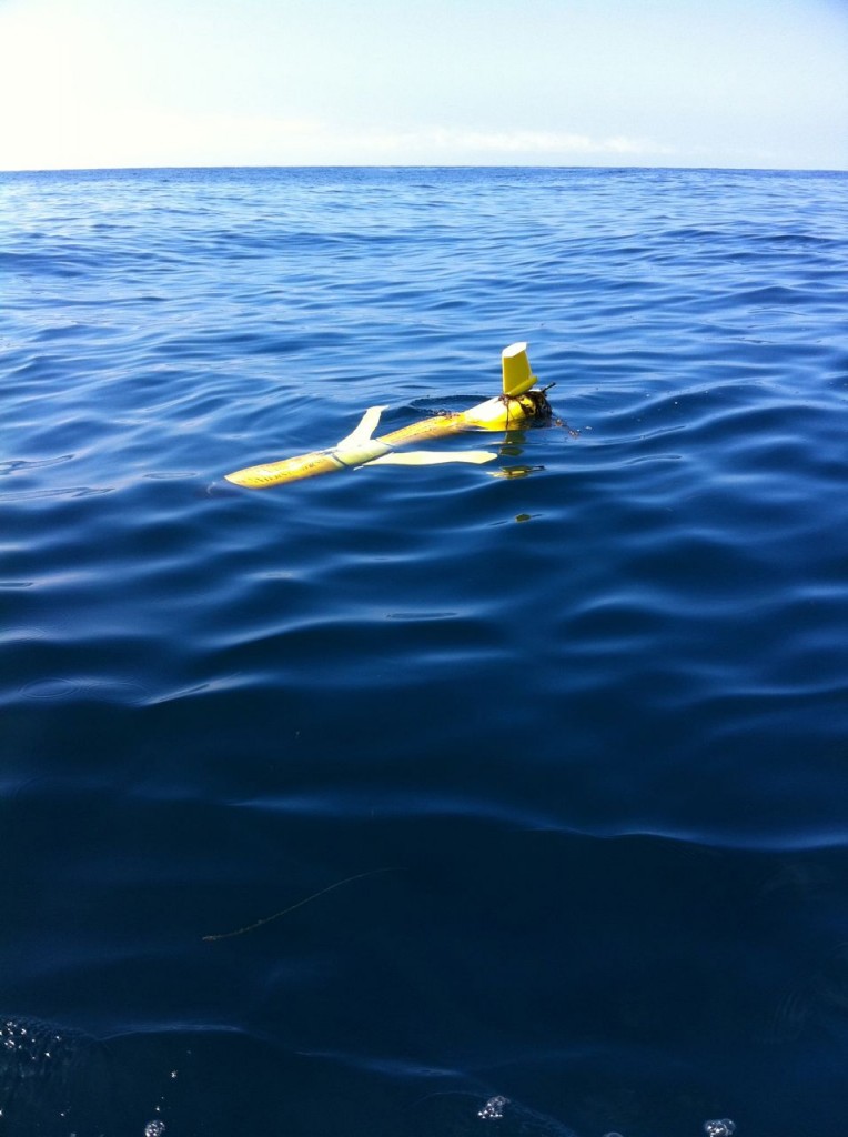 Rusalka recovery